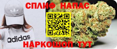 гашик Кунгур