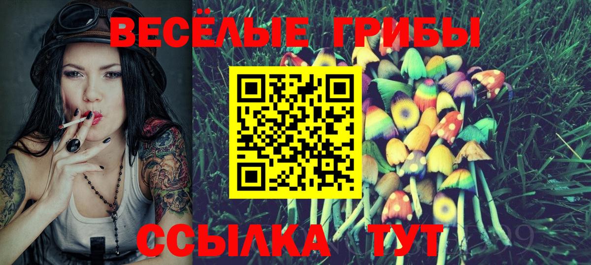Псилоцибиновые грибы MAGIC MUSHROOMS Альметьевск