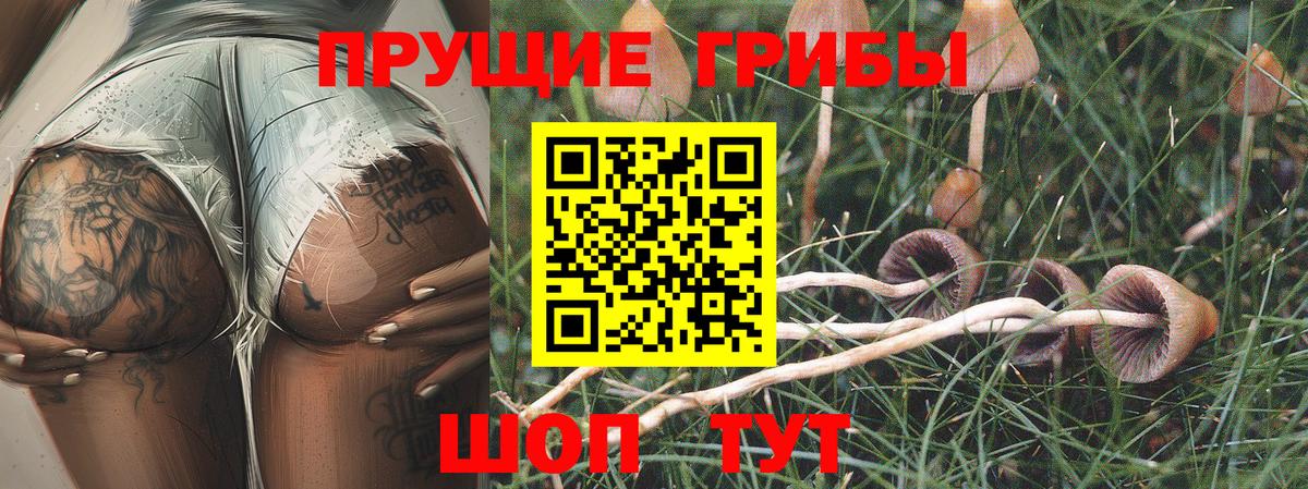 Альметьевск  Галлюциногенные грибы мухоморы  Вход с VPN 